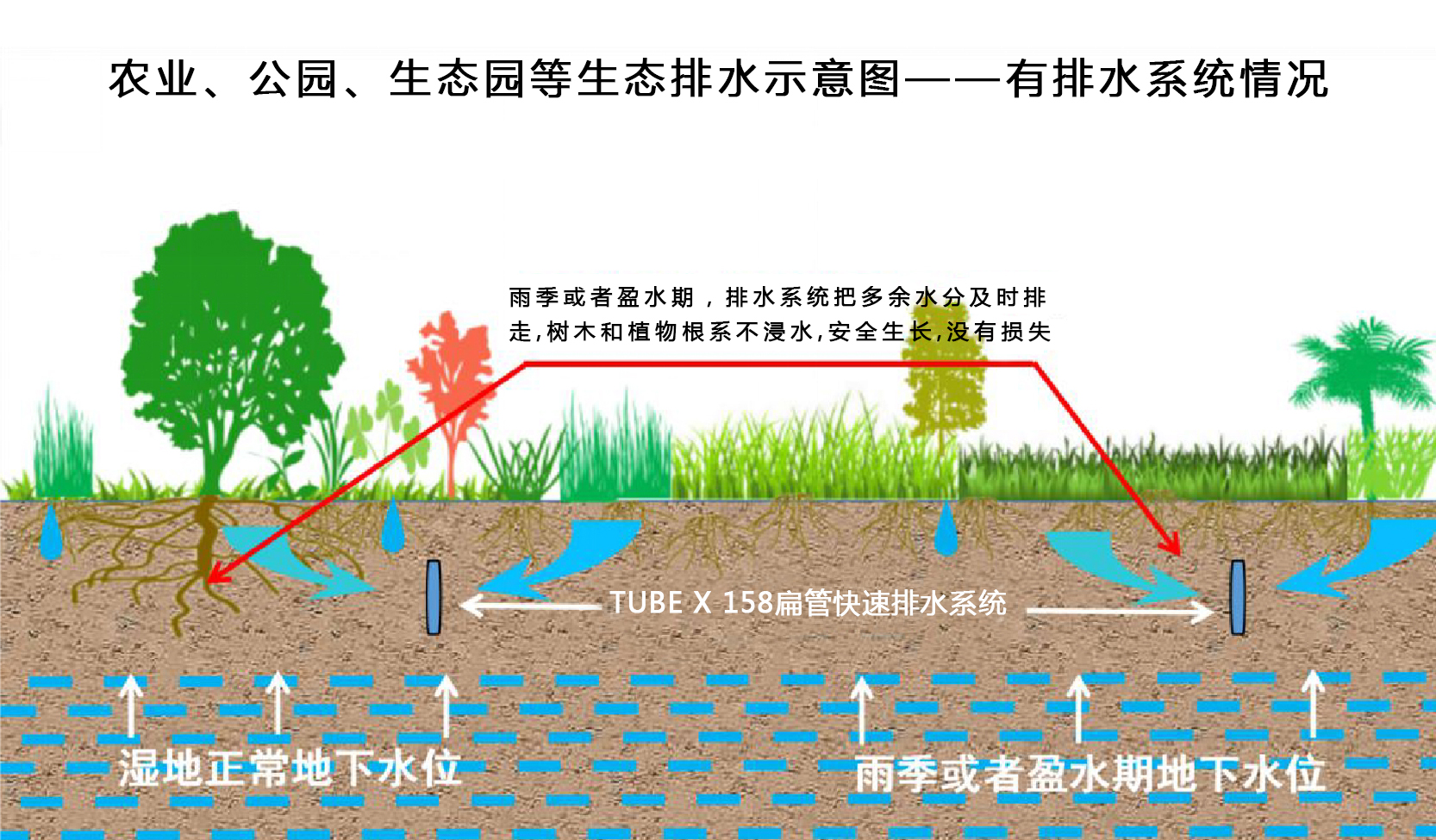 農業、公園、生態園等生態排水示意圖——有排水系統情況.jpg